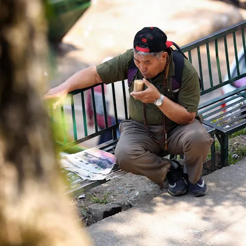 Nguyễn Phương Hằng avatar