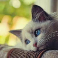 Đánh giá của người chơi Liễu Thùy My